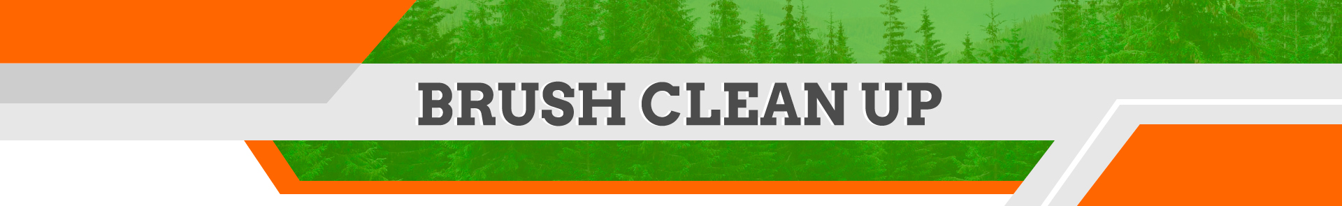 Brush Clean Up Sacramento