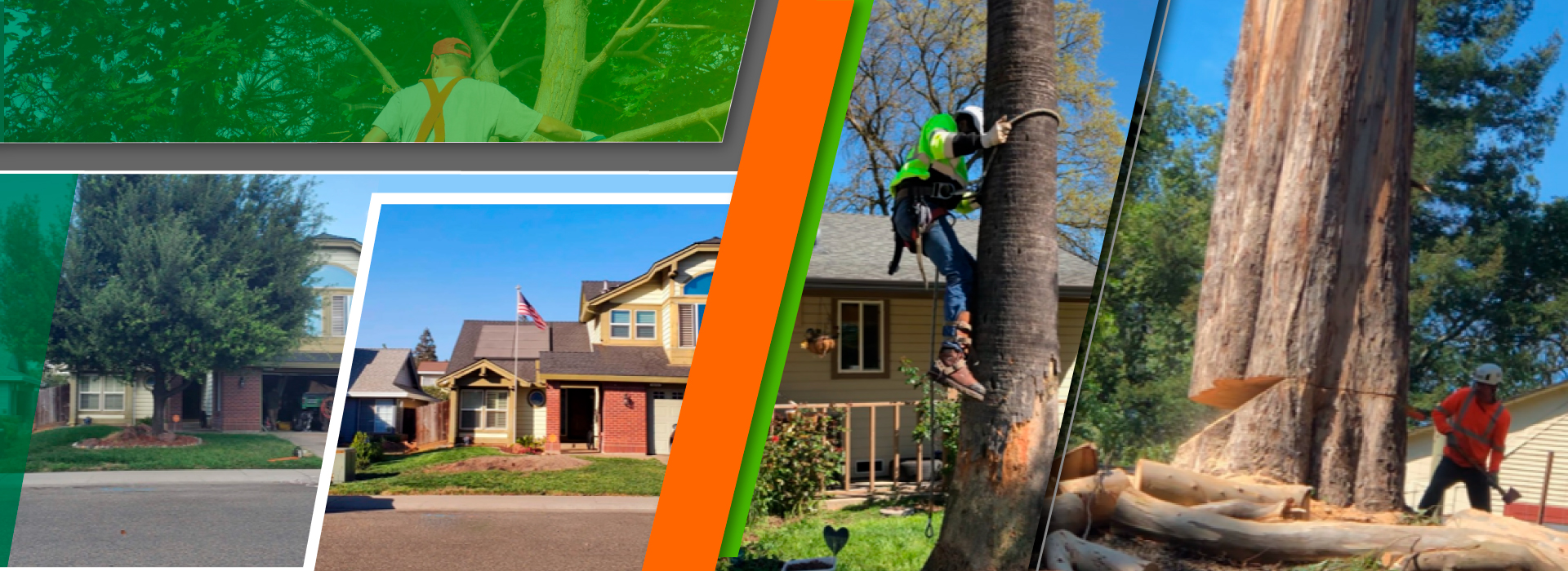 Tree Company Sacramento