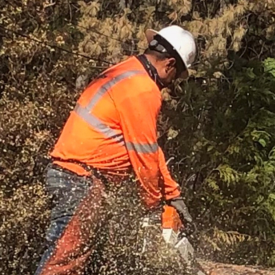 Stump Grinding Sacramento