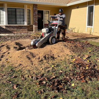 Tree Pruning Sacramento