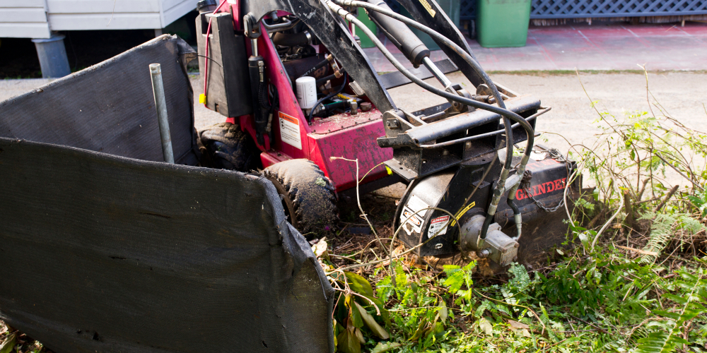 Stump Grinding Services Sacramento